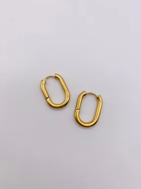 Thick Gold Hoops