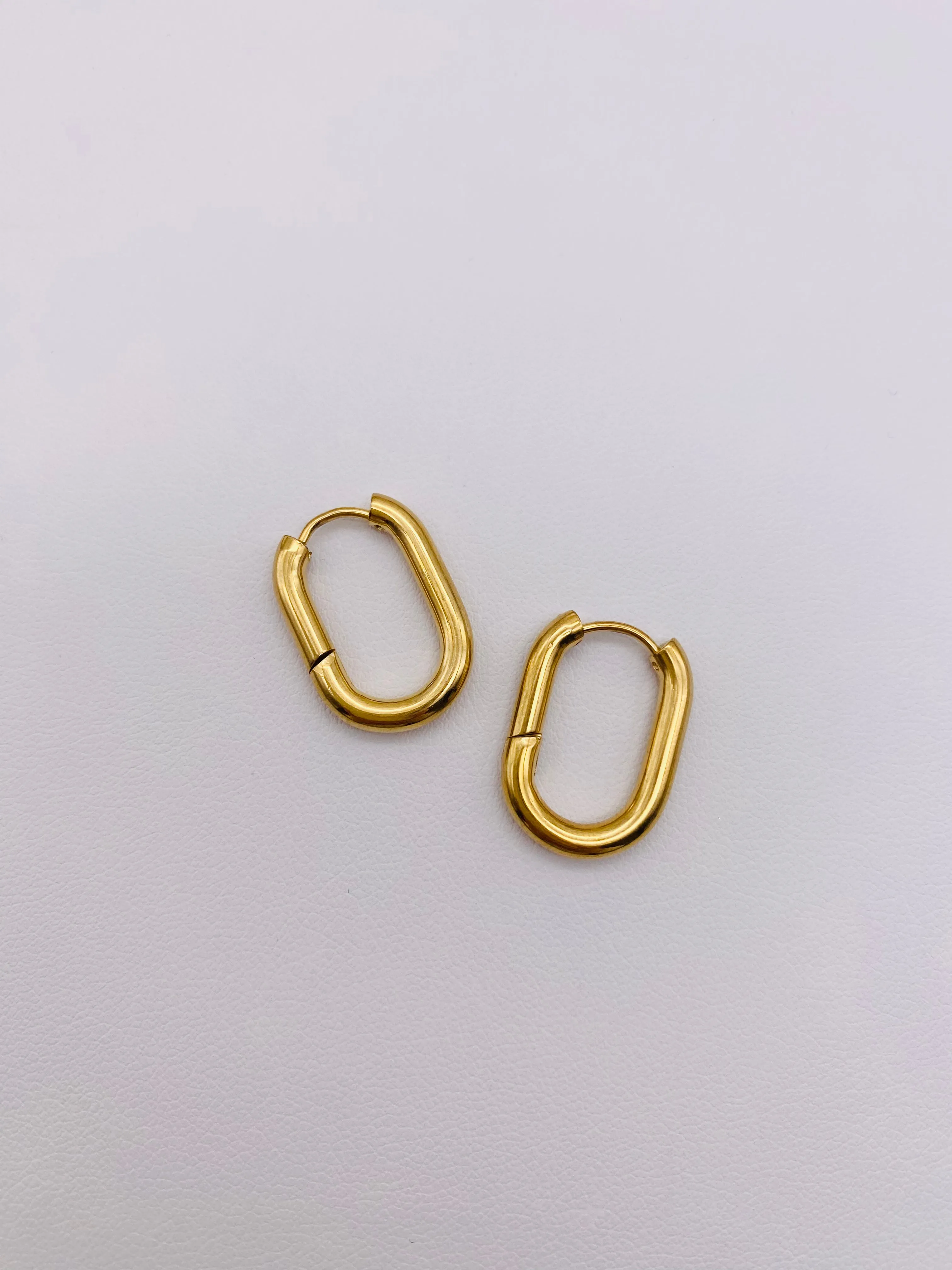 Thick Gold Hoops